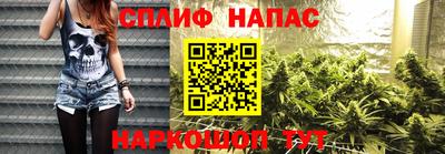 индика Кулебаки