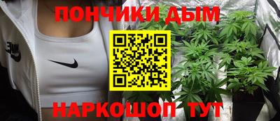 индика Кулебаки