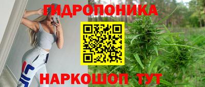 индика Кулебаки