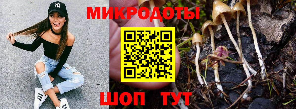 Псилоцибиновые грибы Psilocybine cubensis  Галлюциногенные грибы GOLDEN TEACHER  Ессентуки  Вход с VPN 
